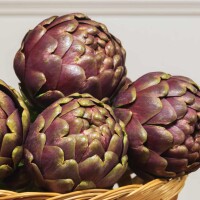 carciofo