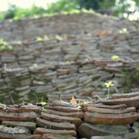 4376371276_4214cfdd42_n