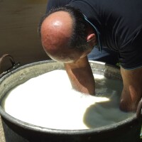 Maremma - Ricotta