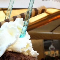 Guided tour for children with ice cream