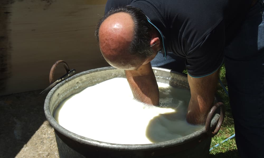 Maremma - Ricotta