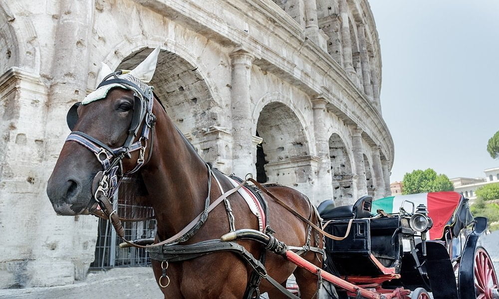 My Rome - Botticella romana