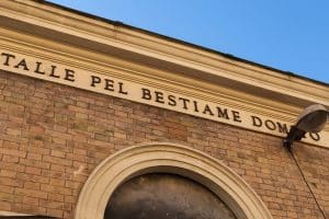 Testaccio - Mattatoio